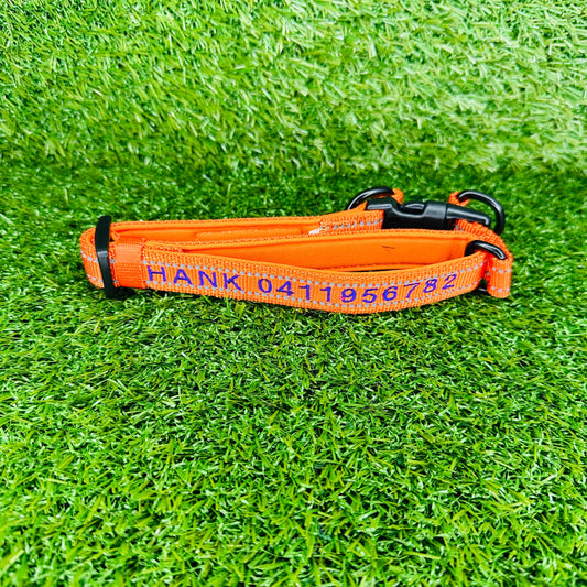 Dog-collar-and-lead-gift-box-bosco-and-co