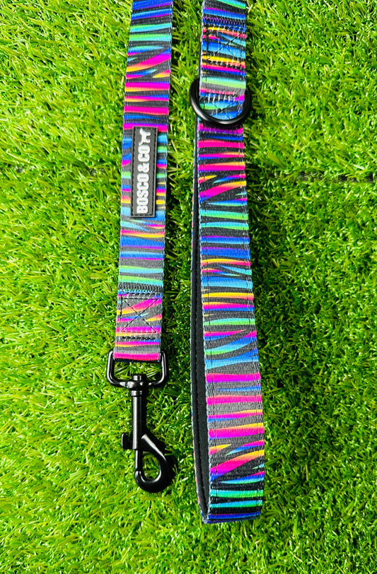 colourful-dog-clip-on-lead-australia