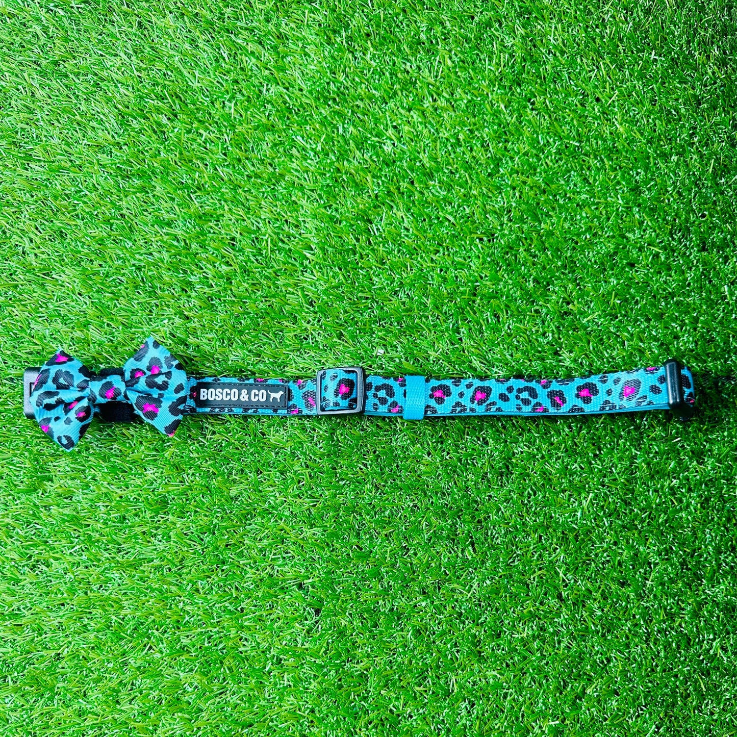 adjustable-dog-collar-with-bow-bosco-and-co