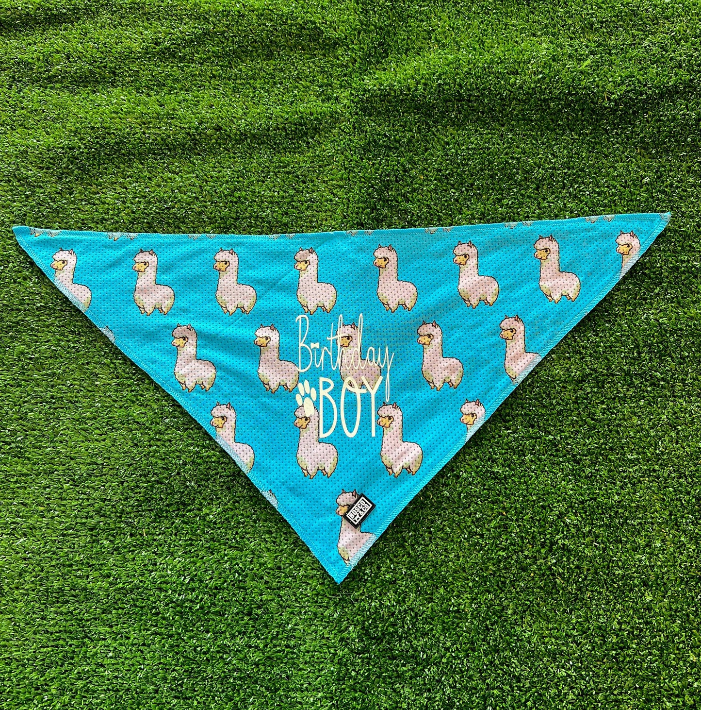 birthday-boy-dog-bandana-bosco-and-co