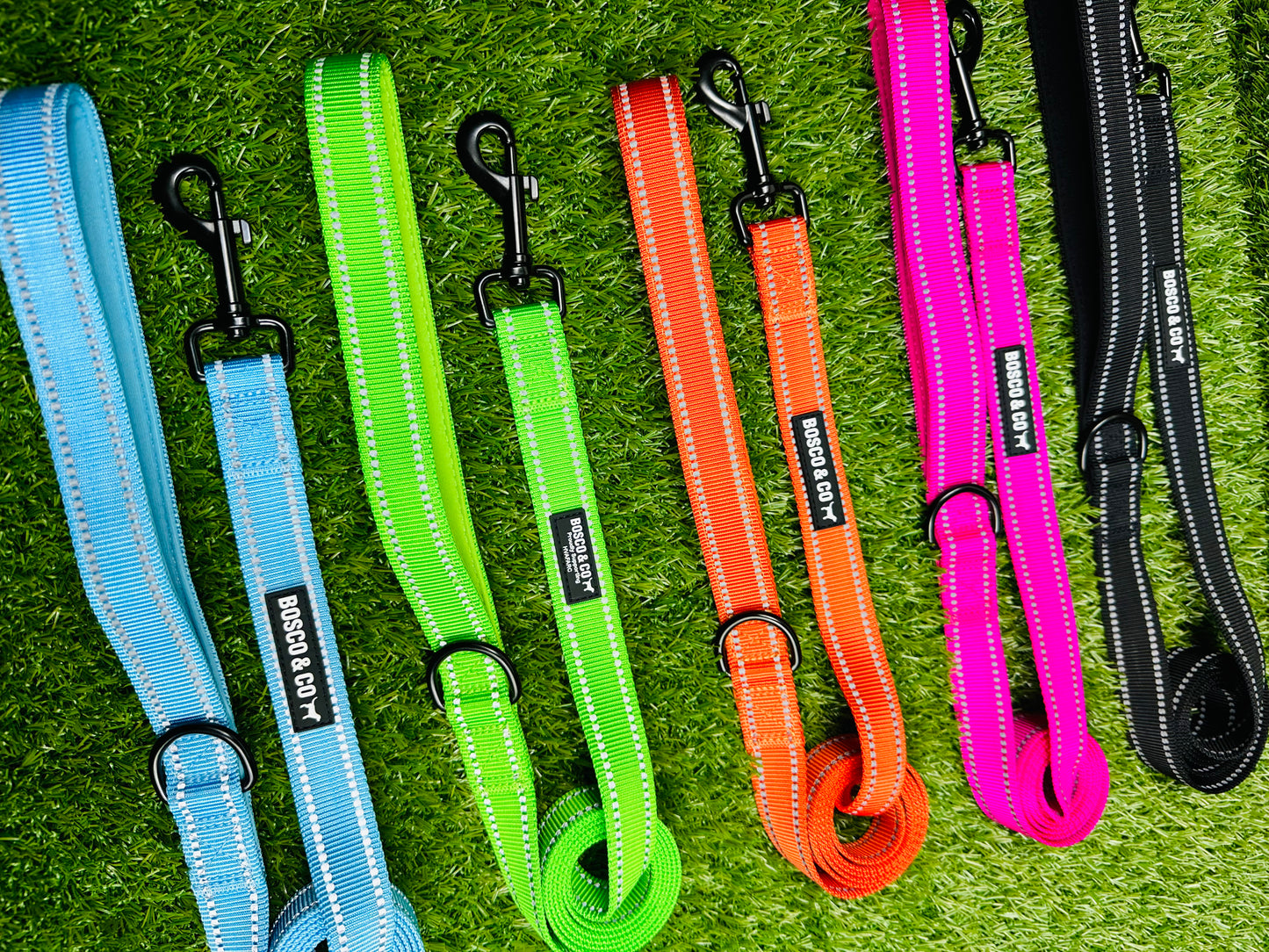 plain-dog-leads-australia