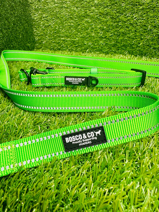 personalised-pet-leash-with-name