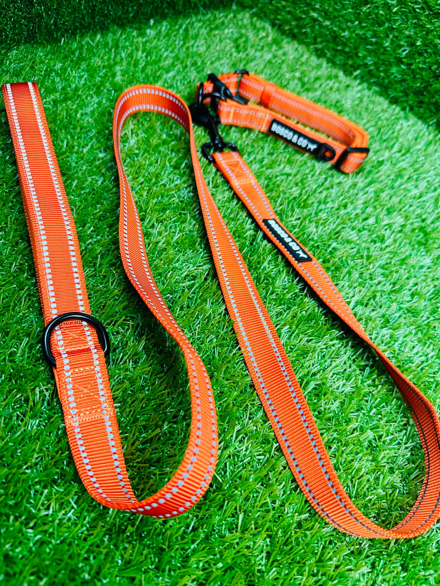 custom-embroidered-dog-leads-australia