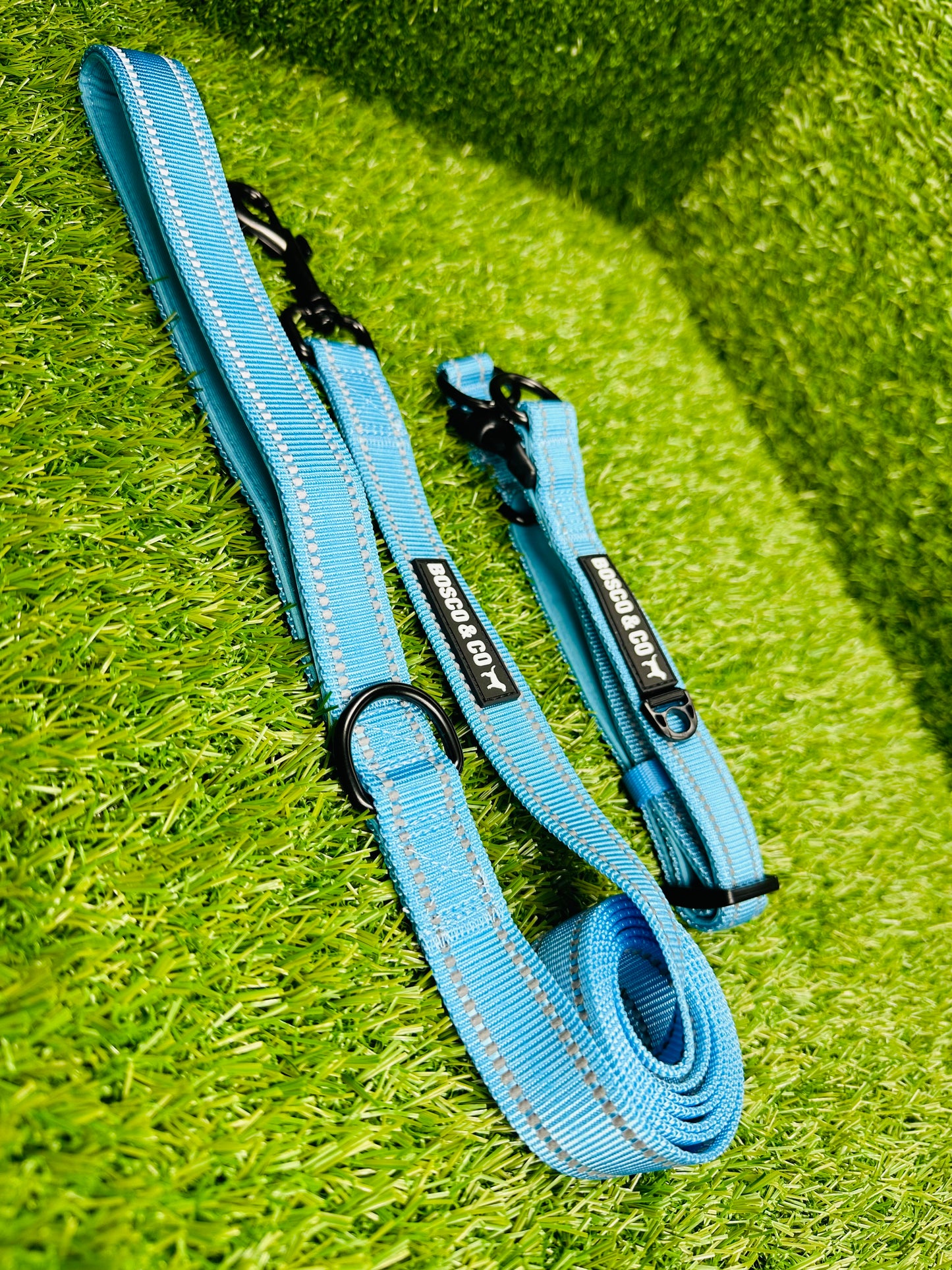 adjustable-neon-dog-collars-australia
