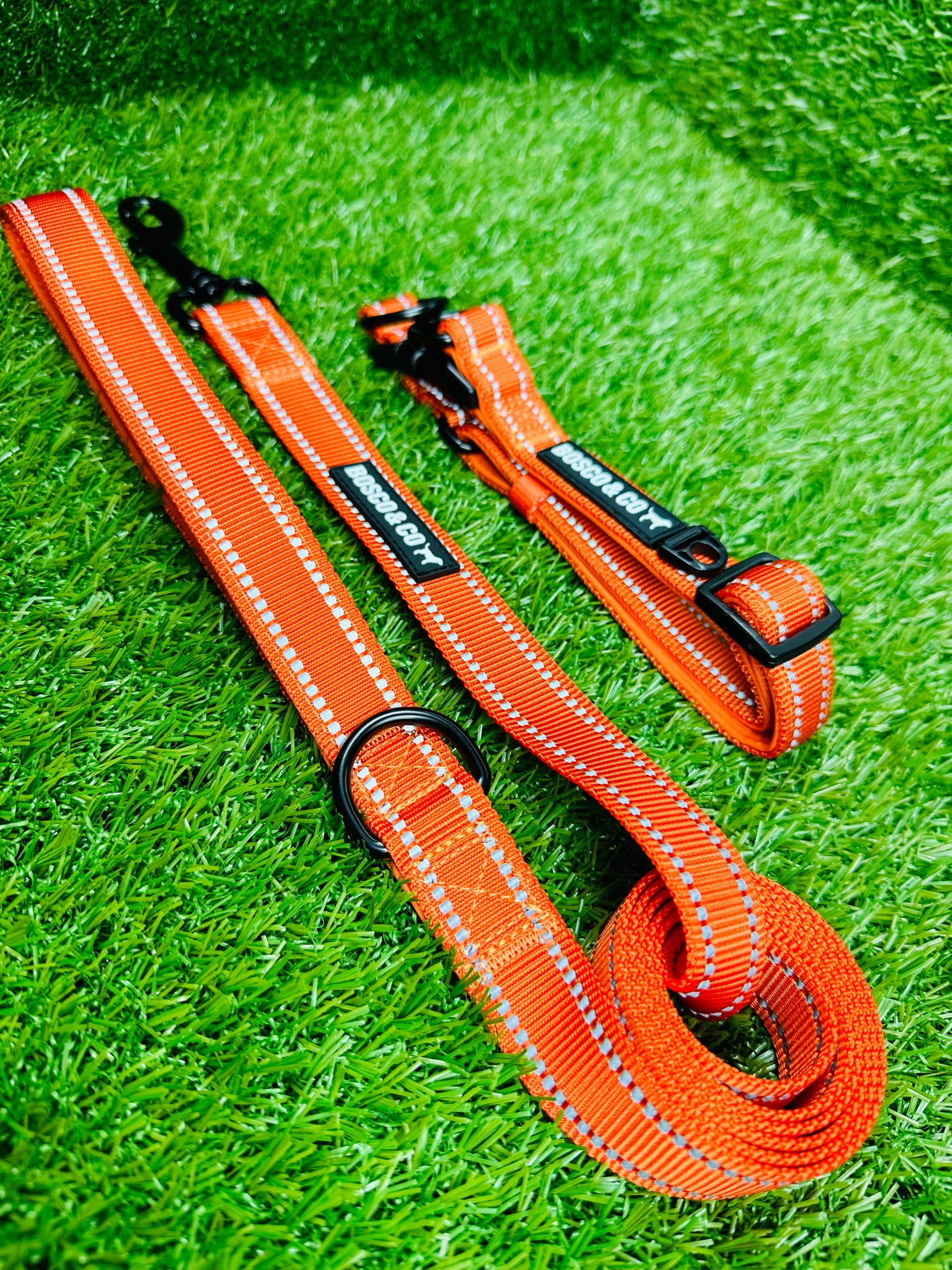 vibrant-durable-dog-collars-for-walks