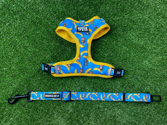 crash-tested-dog-travel-harness