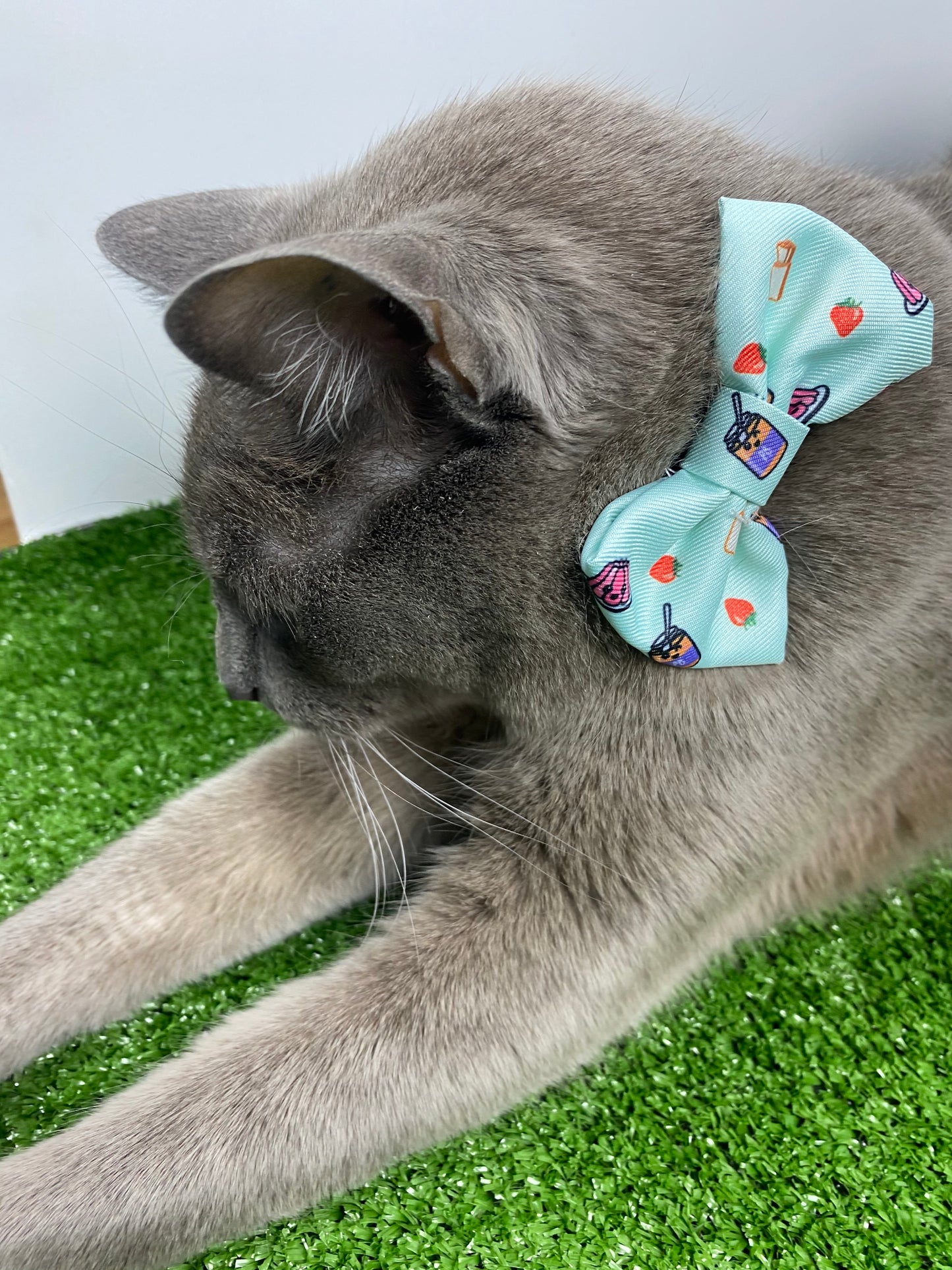 fun-pattern-cat-bowtie-collar-adjustable