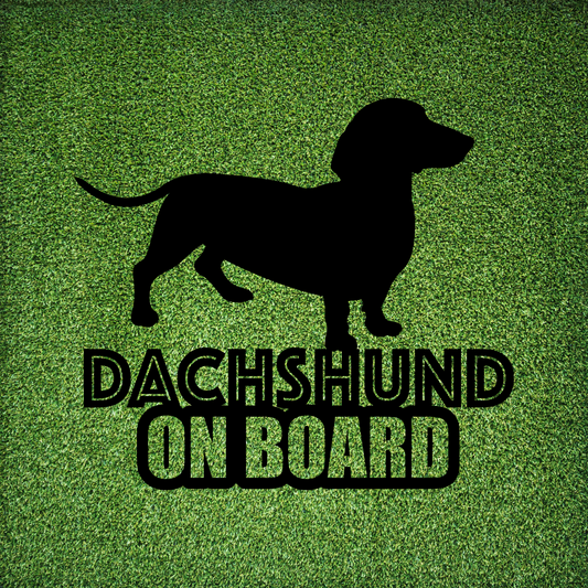 Dachshund on board  