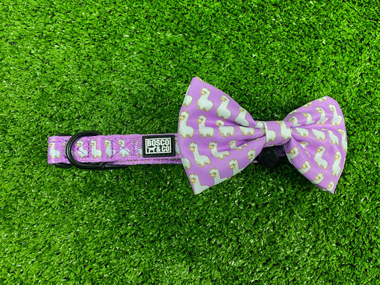 cute-dog-bow-tie-pink-print-collar