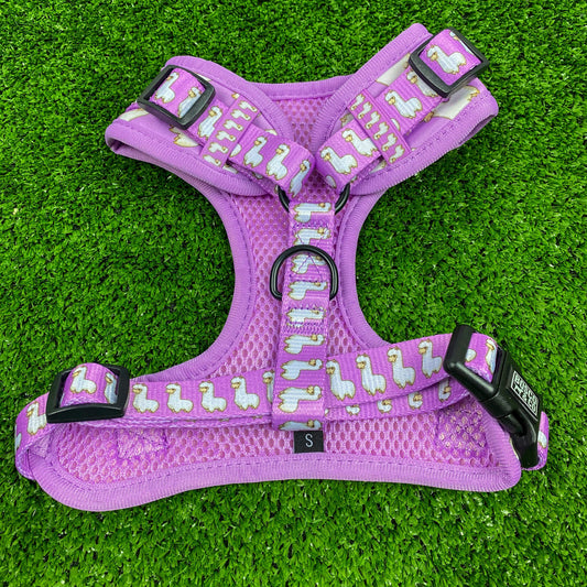 cute-pink-alpaca-dog-harness-bosco-and-co