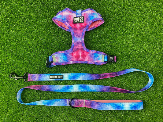 padded-comfy-dog-harness-for-walks