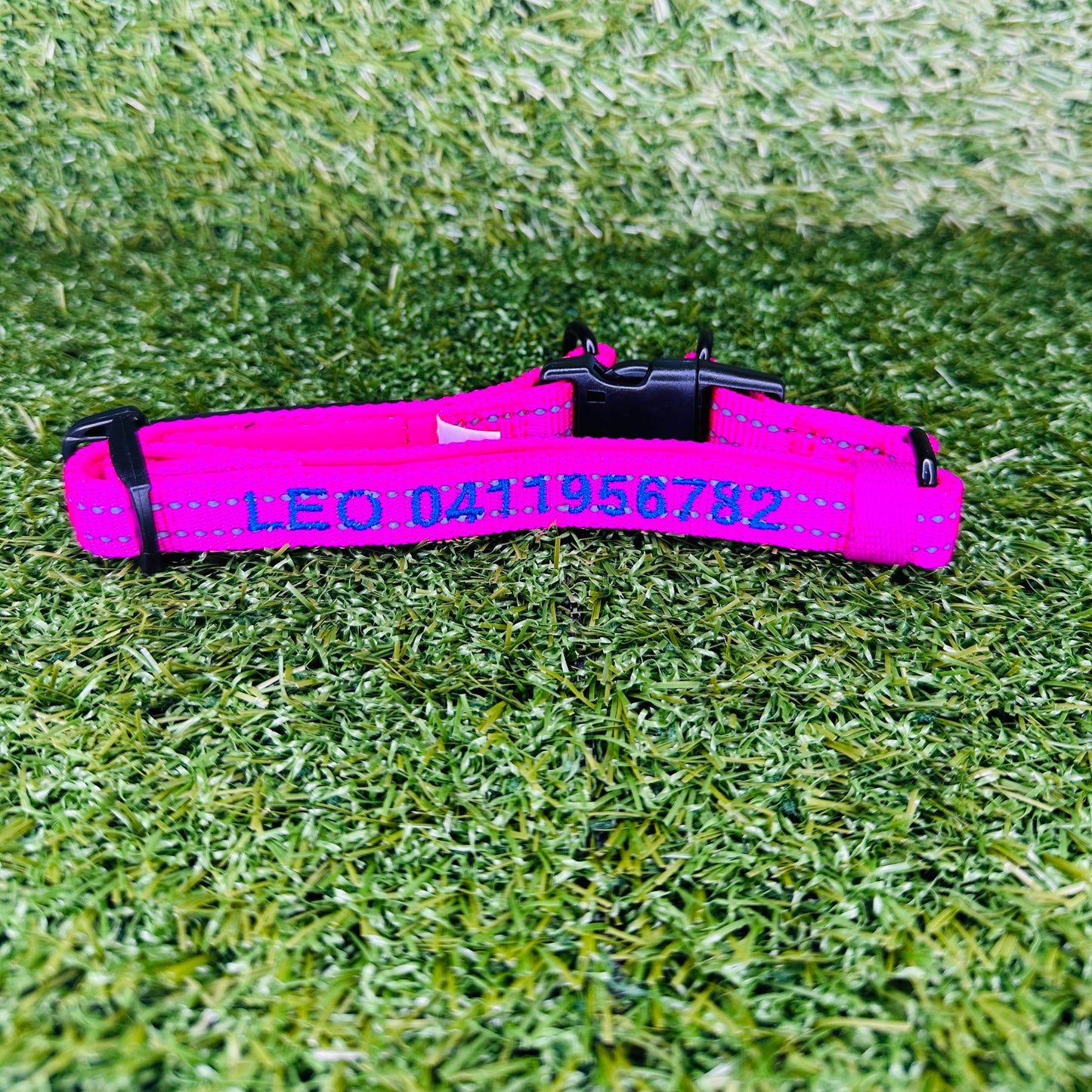 adjustable-custom-dog-collar