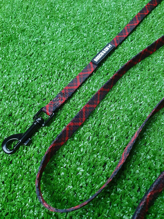 tartan-cat-lead-stylish-safe