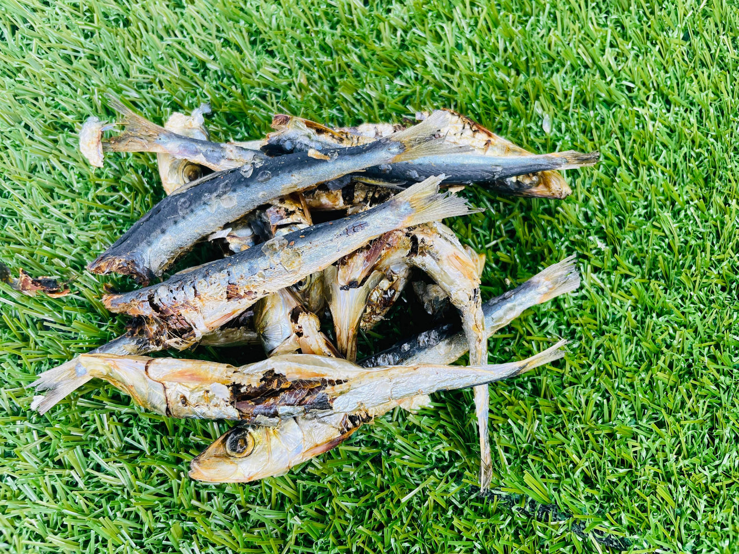 dried-sardines-dog-treats-australia