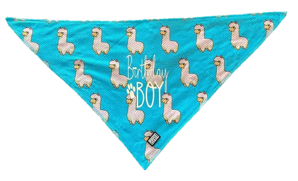 Birthday Boy Bandana