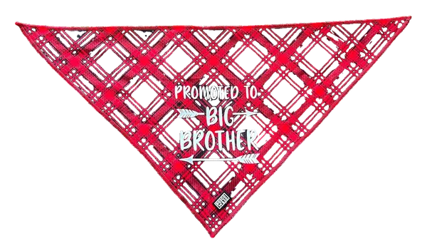 Promoted to Big Brother Bandana