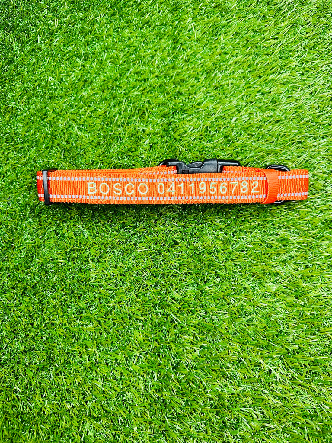 Why ID Collars Are Better Than Traditional ID Tags for Your Dog