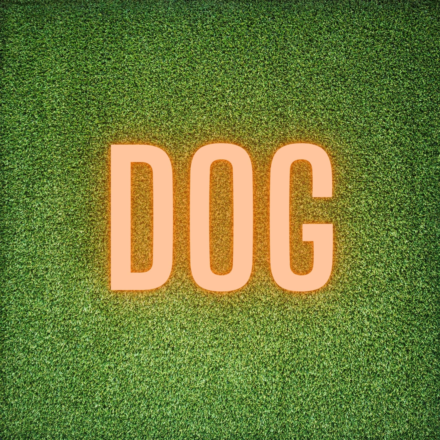 ALL DOG