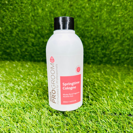 Progroom Springtime Cologne