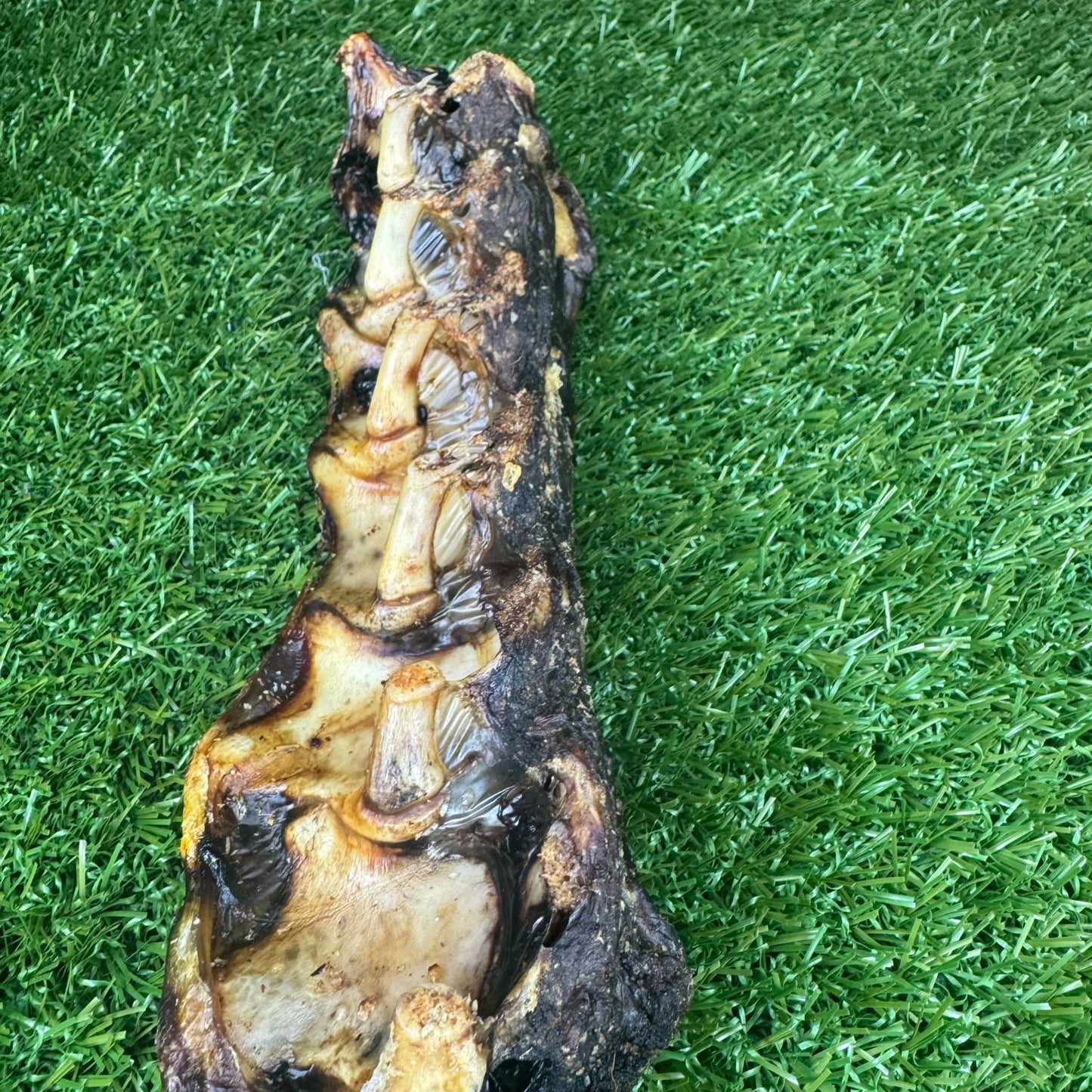 emu-lumbar-dog-treat-australia