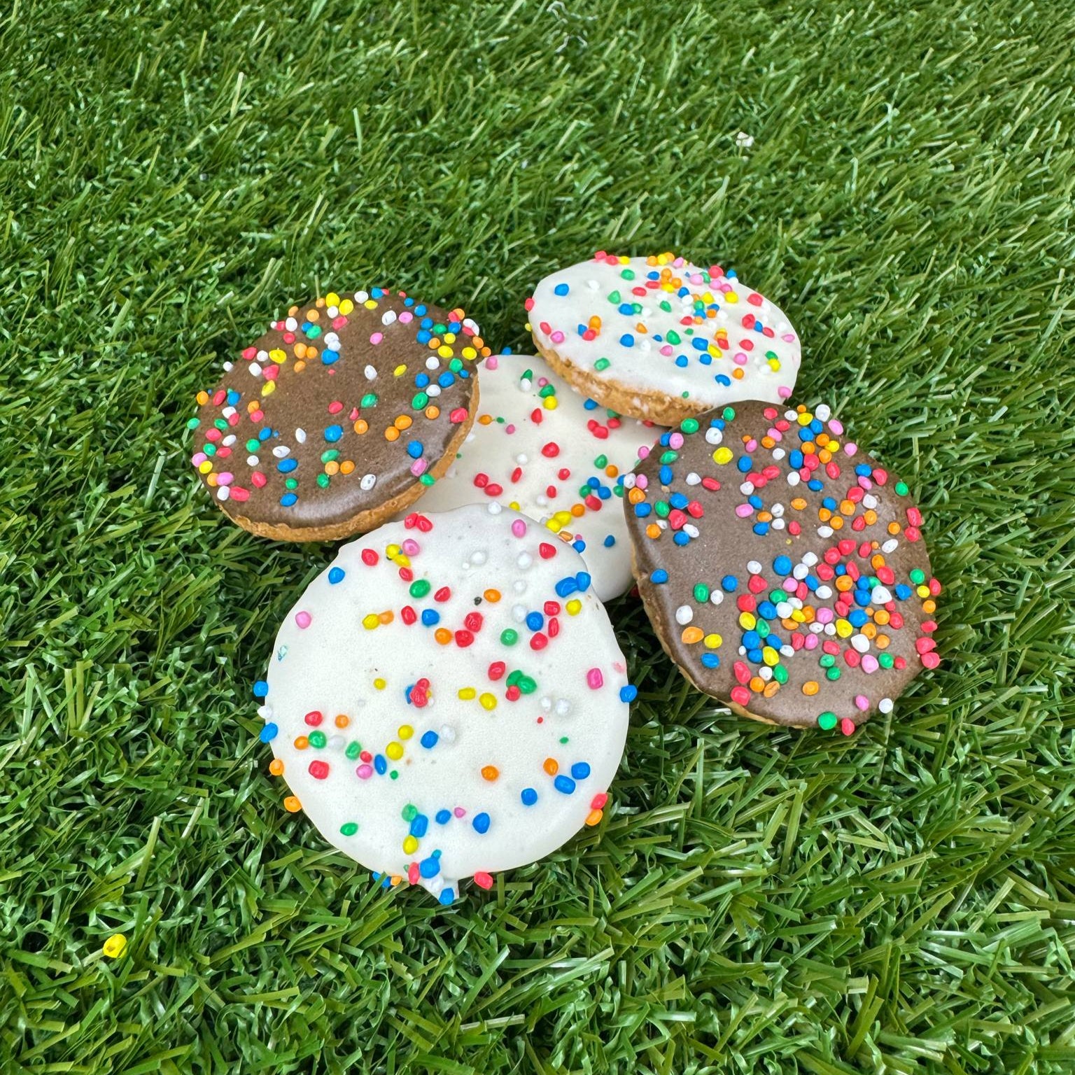 gourmet-dog-biscuits-with-sprinkles