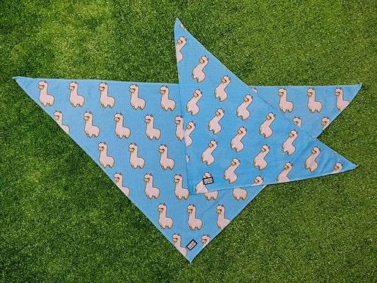 blue-alpaca-cooling-dog-bandana-bosco-co