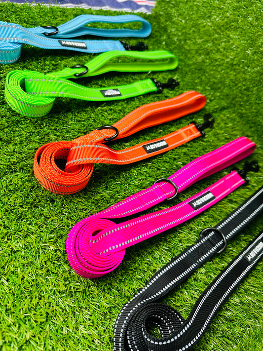 durable-everyday-dog-leash