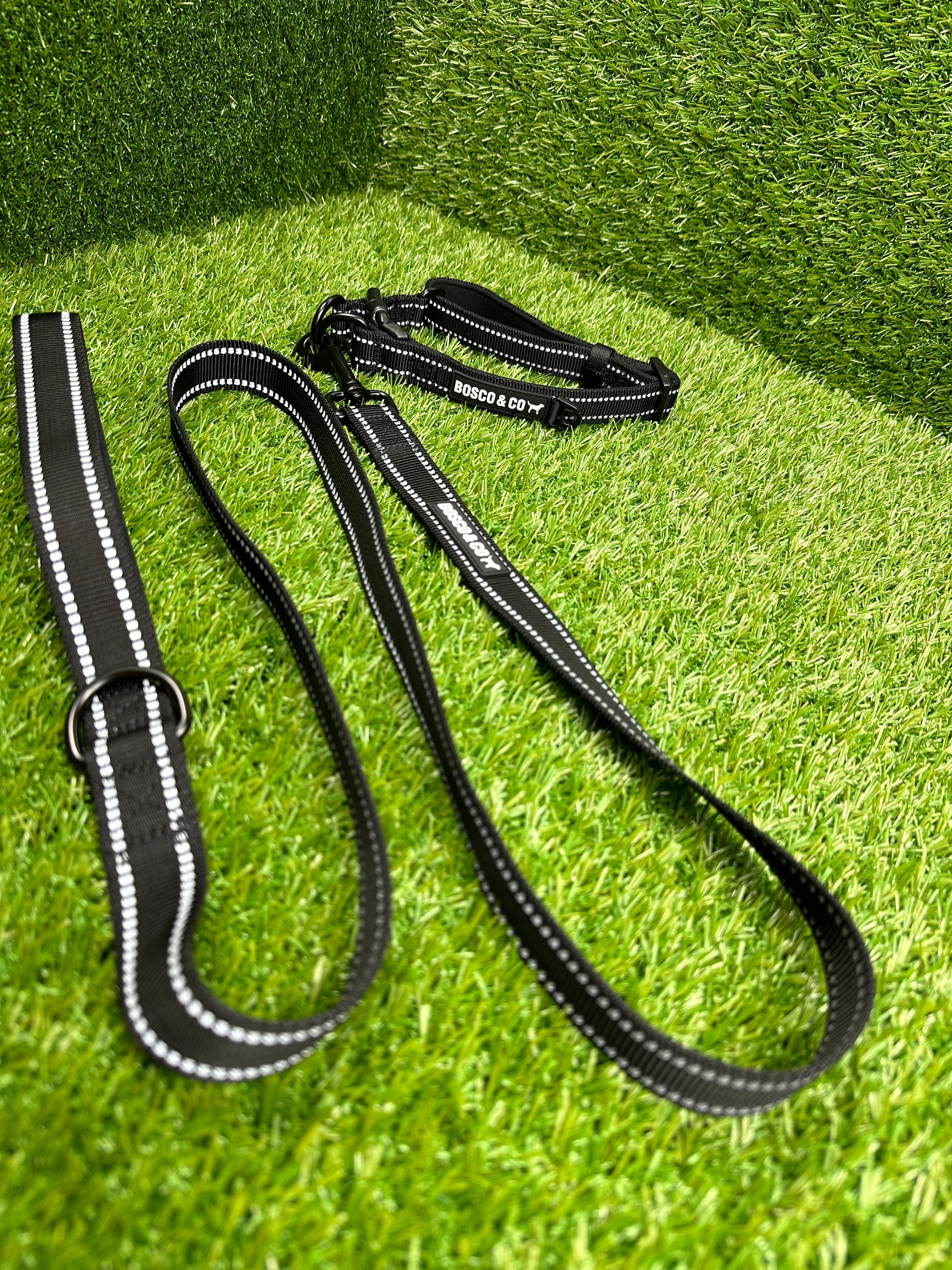 personalised-pet-leash-with-name