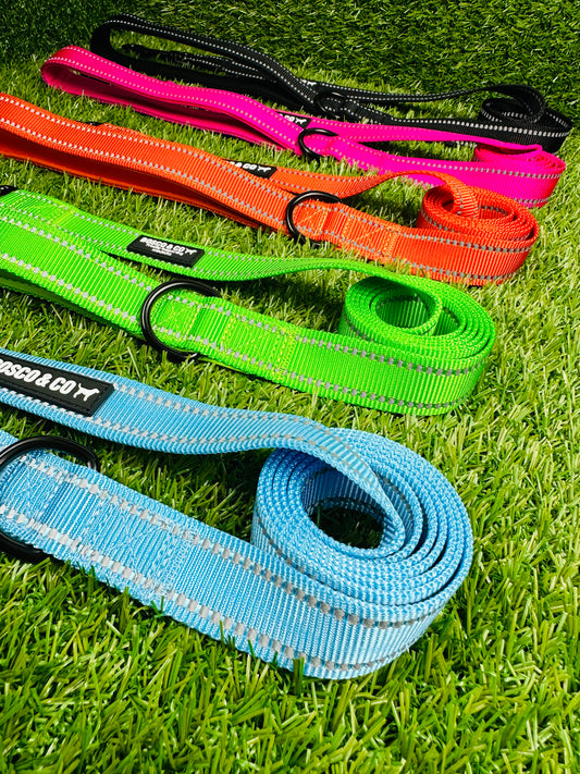 plain-dog-leads-australia