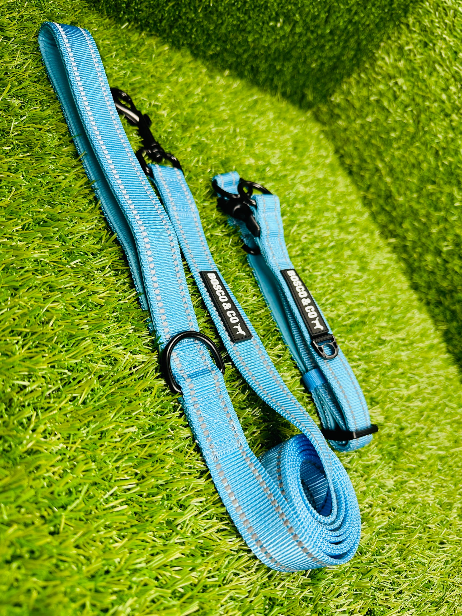 adjustable-neon-dog-collars-australia