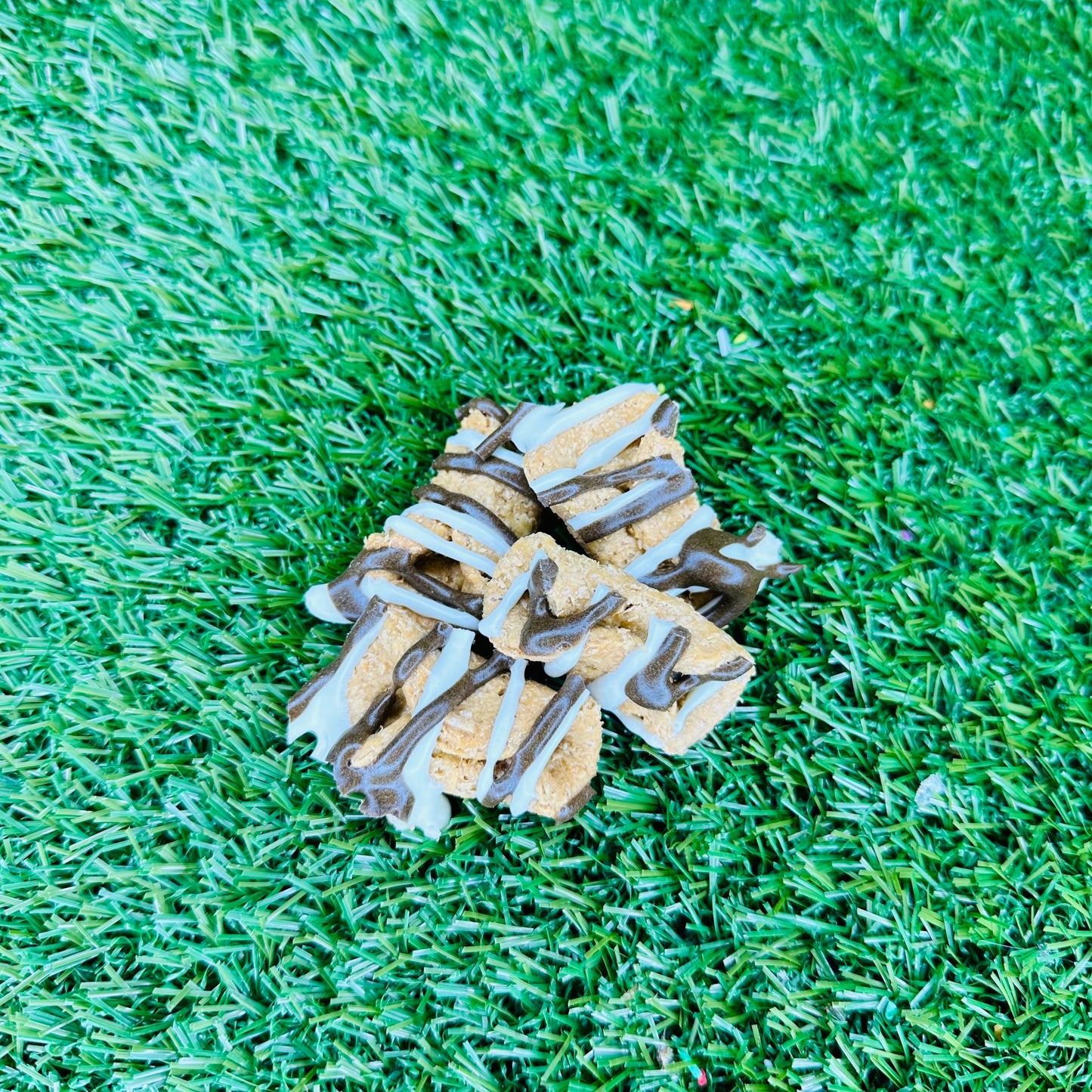 carob-yoghurt-frosted-dog-treats-australia