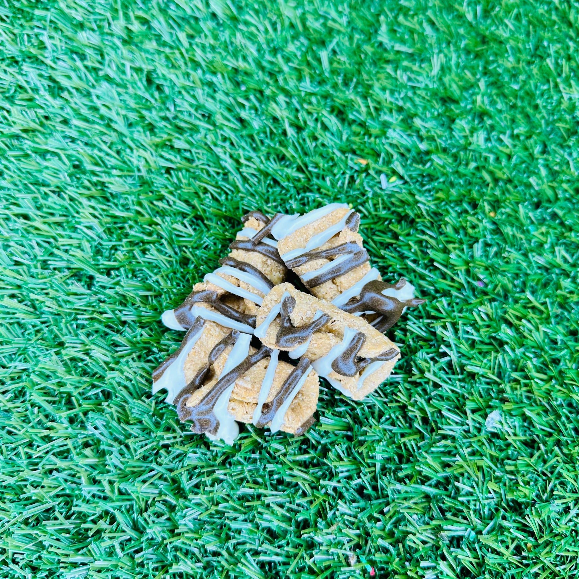 carob-yoghurt-frosted-dog-treats-australia