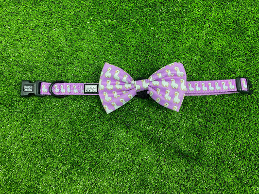 dog-bow-tie-collar-pink-alpaca-bosco-and-co