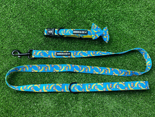 dog-collar-bow-tie-leash-set-bundle
