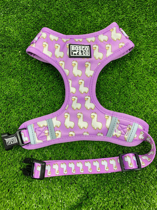 Padded Adjustable Dog Harness: Pink Alpaca