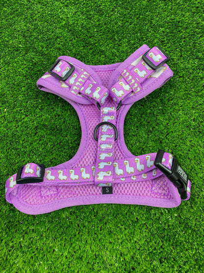 Padded Adjustable Dog Harness: Pink Alpaca