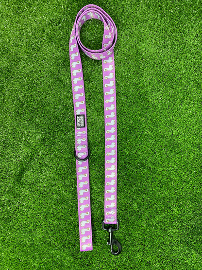 Padded Adjustable Dog Harness and leash Bundle
