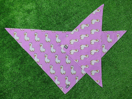 Bosco & Co Cooling Bandana: Pink Alpaca