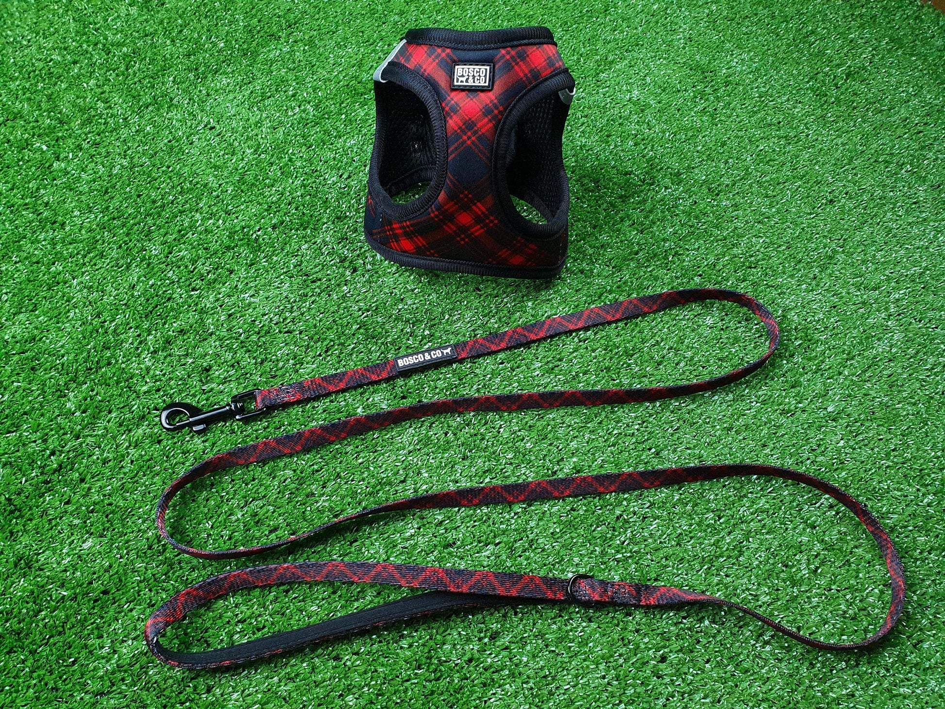Padded Step In Cat Harness and Leash Bundle