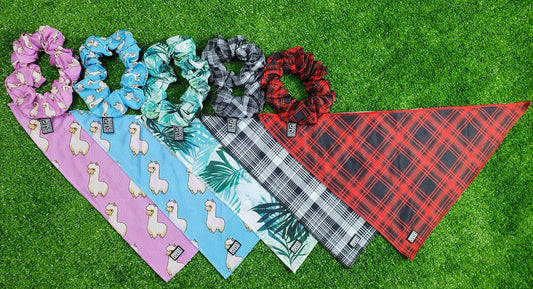 matching-dog-and-owner-accessories