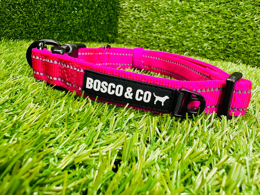 Bosco & Co plain pink collar