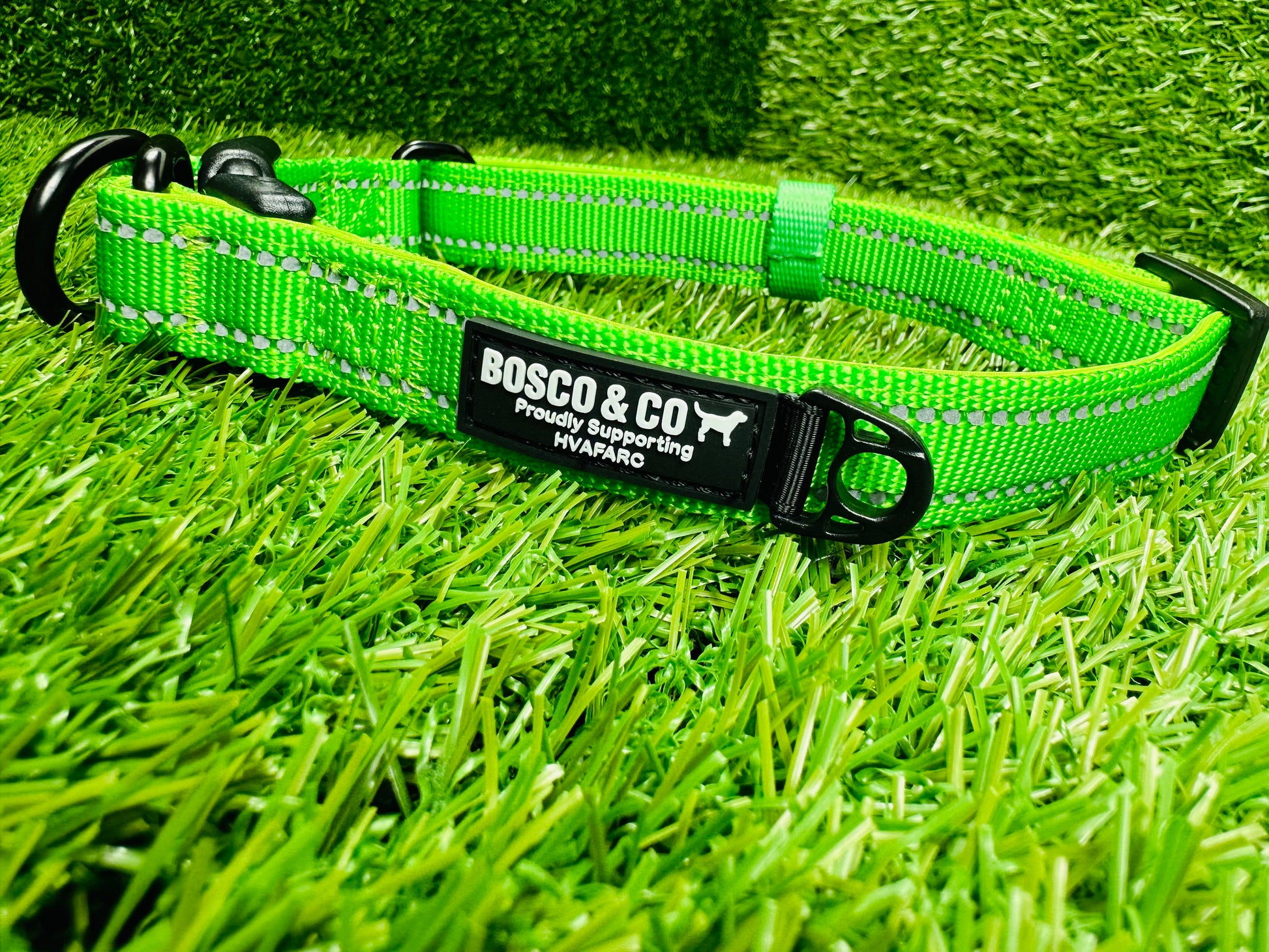 Bosco & Co plain Green collar 