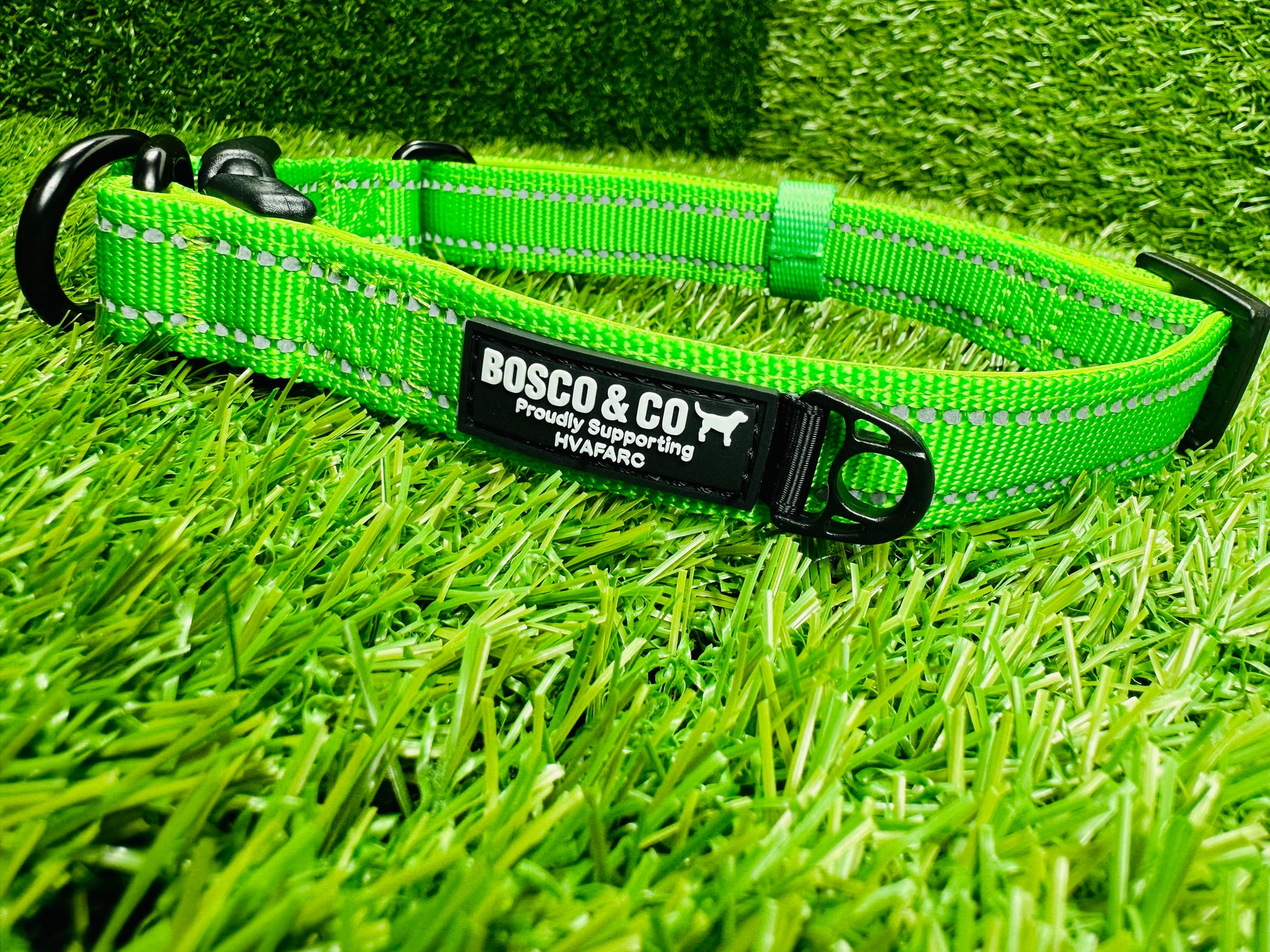 Bosco & Co plain Green collar 