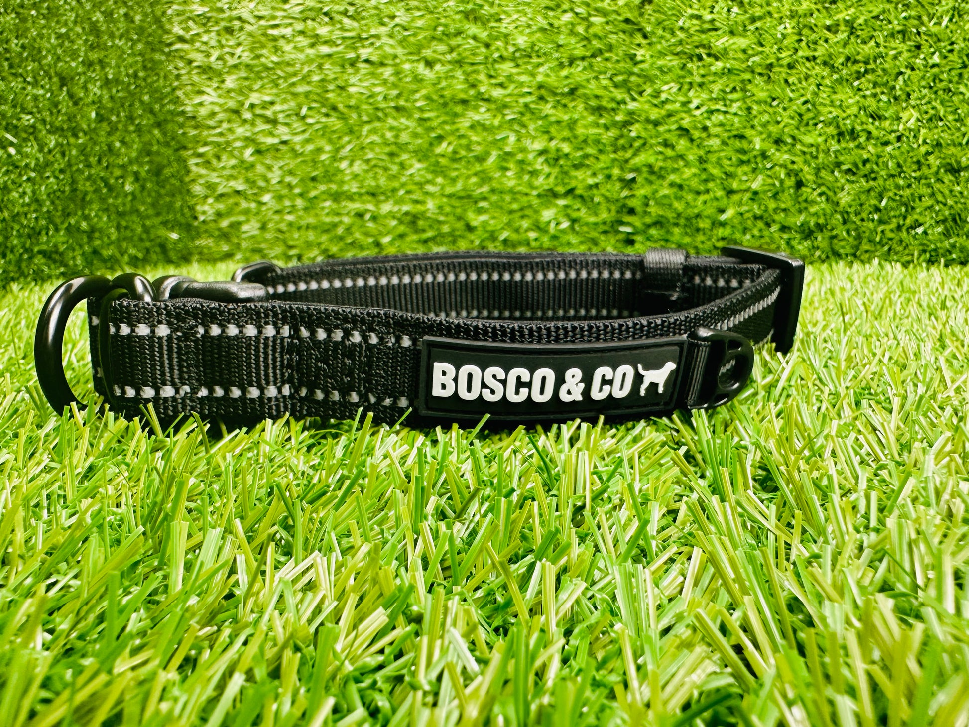 Bosco & Co plain Black collar