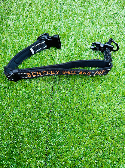 Personalised Pet Collars Bentley