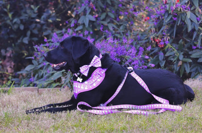 Bosco & Co Dog Leash - Pink Alpaca
