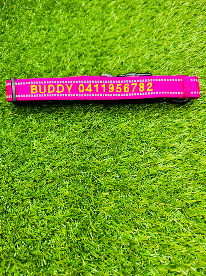 Personalised Pet Collars Buddy 
