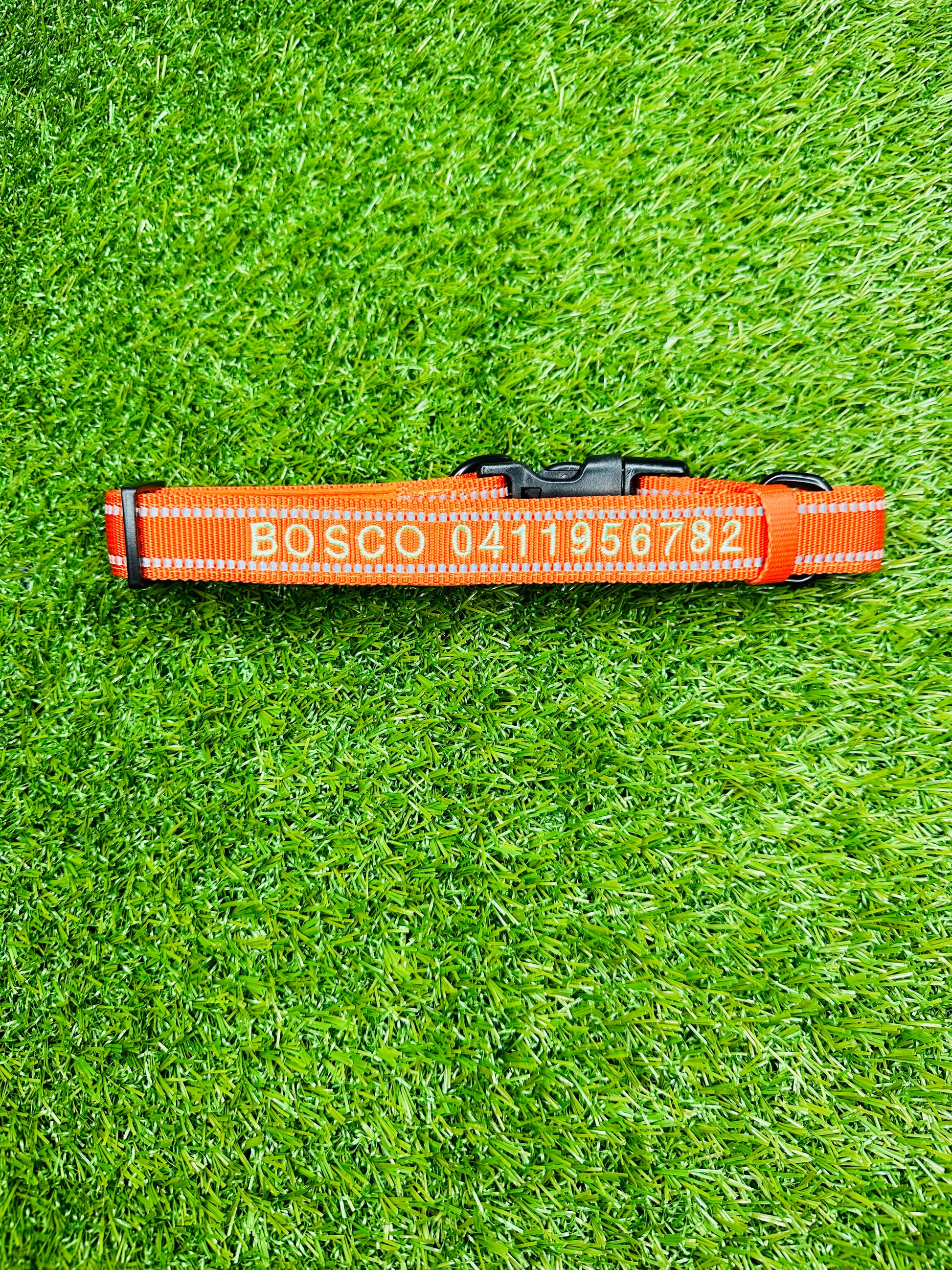 Personalised Pet Collars Bosco 