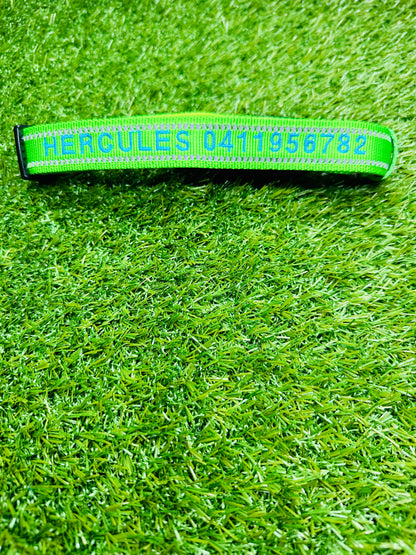 Personalised Pet Collars Hercules