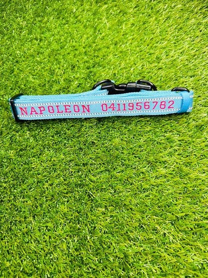 Personalised Pet Collars Napolean